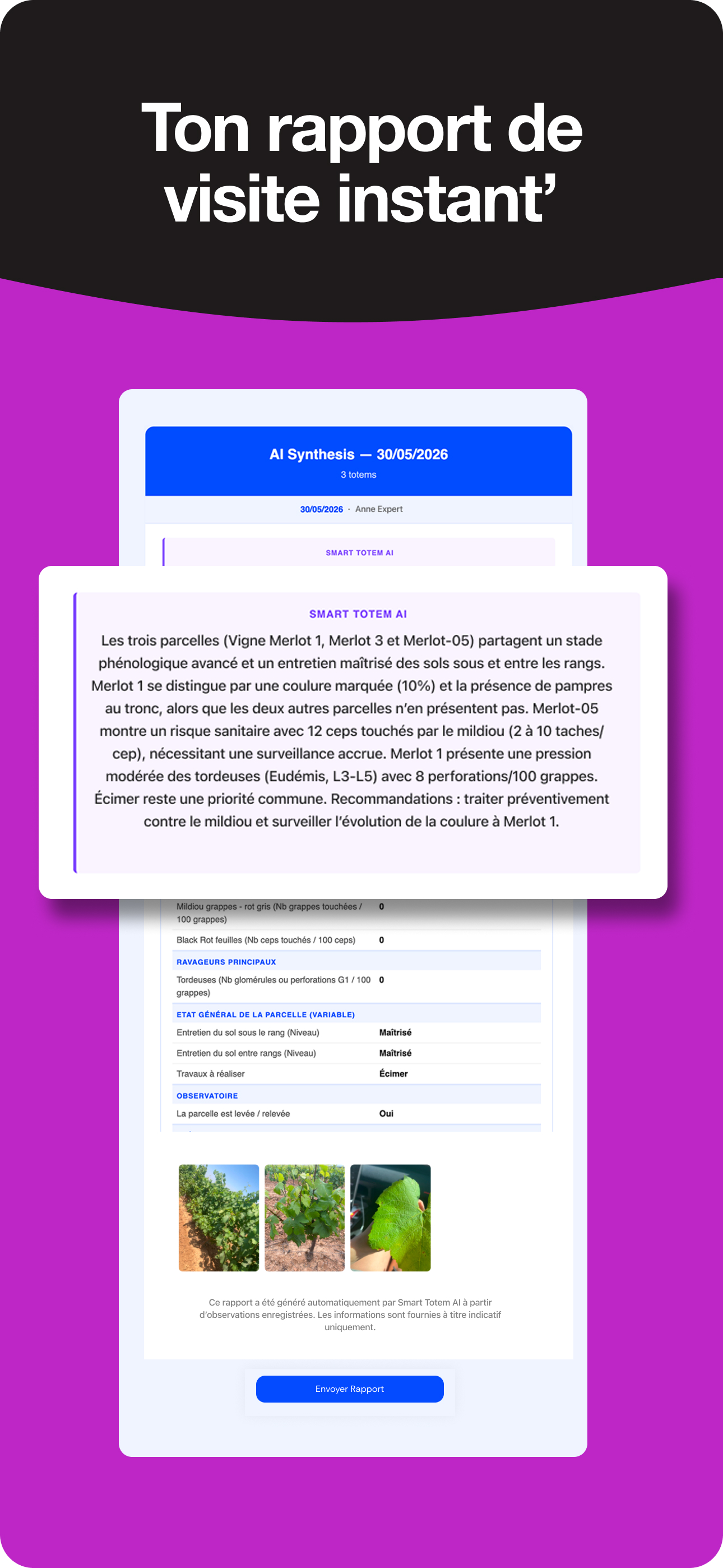 Rapport IA Smart Totem